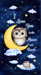 TT panel owl